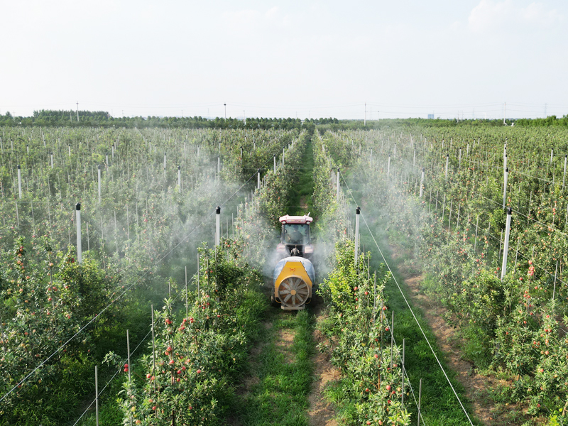 牽引式風(fēng)送果園噴霧機(jī)蘋(píng)果園植保打藥